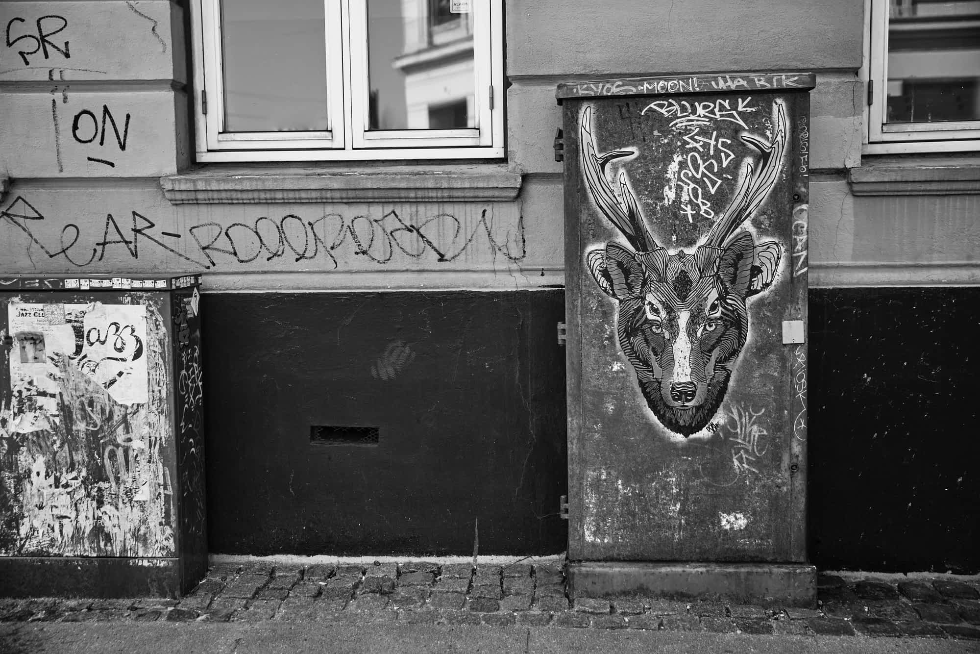 Vesterbro - Street Art