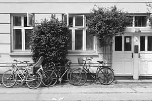 Cykler på Vesterbro